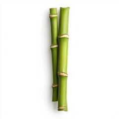 Obraz premium Vertical Stalks of Fresh Green Bamboo Against a Clean White Background in Minimalist Style