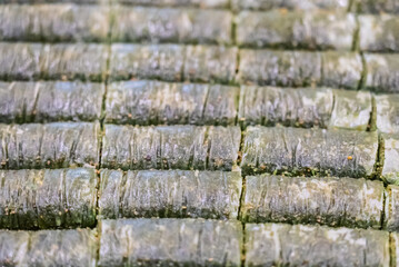 Baclava layered pastry dessert made of filo pastry, filled with chopped nuts, and sweetened with syrup or honey. Baclava or pakhlava the sweet pastries of Ottoman, Arabian, Persian and Greek cuisine