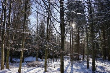 Rudawy Janowickie, Polska © Strumyk