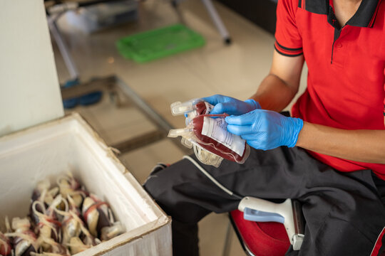 a Red Cross officer wearing blue gloves is holding a bag containing the blood of a person who has donated blood at a hospital clinic