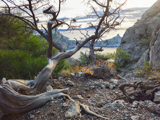 Dangerous narrow cliff side mountain road through sharp rocks.