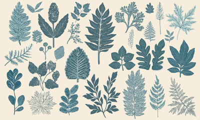 Winter botany nature vector kit, leaves, branches, pine cones, fir branches, pine branches, dry branches, autumn leaves	