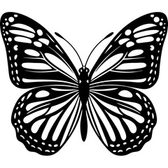 Butterfly silhouette Vector Illustration isolated on white background