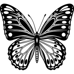 Butterfly silhouette Vector Illustration isolated on white background