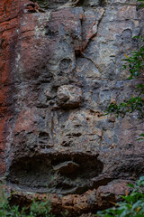 Budawang National Park, New South Wales, Australia.
