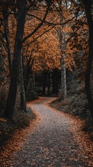 Obraz premium Dreamy Autumn Trail, vibrant orange and yellow foliage, serene walking path, inviting seasonal atmosphere, ideal for autumn-themed marketing and promotions