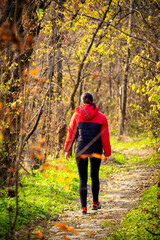 Fototapeta premium A middle-aged woman makes her way along a winding forest path, surrounded by the rich hues of autumn. Her sturdy backpack and trekking poles reflect a deep passion for adventure.