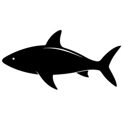 Fototapeta premium shark illustration isolated on transferred background, cut out