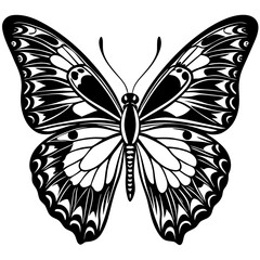 Butterfly silhouette vector illustration isolated on white Background 