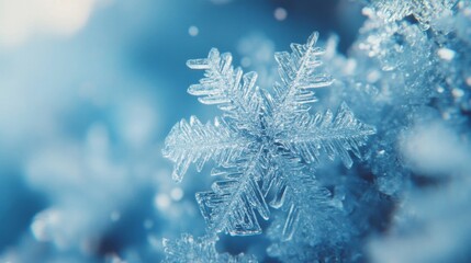 A Close-Up View of an Intricate Snowflake
