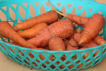 Carrots in a Green Plastic Basket
