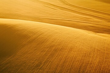 Fototapeta premium Golden sand dunes with wind patterns in a desert landscape