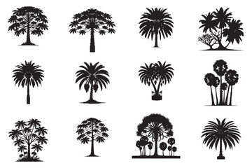 The Ultimate Tree Collection 12 Detailed Vector silhouette Trees for Every Design.