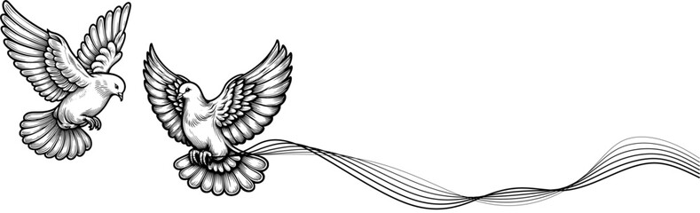 couple of dove, Eternal Love in Flight A Beautiful Line Art of a Dove, Timeless Flight The Everlasting Love of Doves, Infinite Grace Love's Symbol in Elegant Line Art.