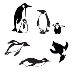 Penguin silhouettes set. Sea animals. Baby penguin with parents, swimming penguin, gliding penguin. © Anastasiia