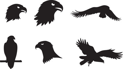 Obraz premium Fierce Hawk Head Vector Art for Professional Use 