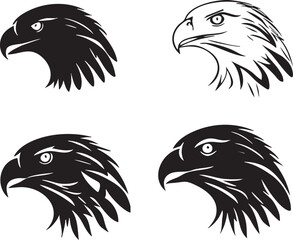 Majestic Hawk Head Designs for Nature-Themed Art
