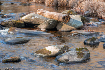log on the rocks in willard brook