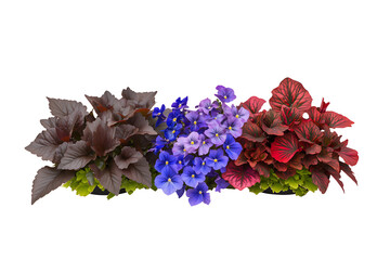 Obraz premium Nature inspiration bright close-up photography of flower arrangements in home gardens