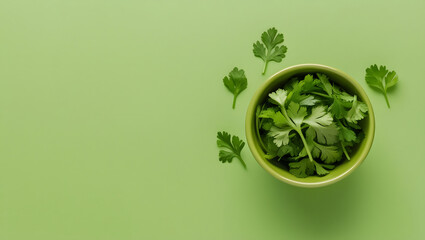 Coriander in green cup, isolated on green background.