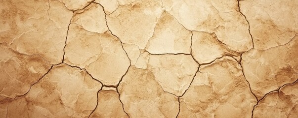 Dry soil cracks desert landscape natural close-up arid environment macro photography earth's resilience