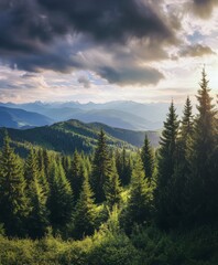 Awe-inspiring Mountain Forest Scene: A Breathtaking Vista of Pine Trees, Clouds, and Mountain Ranges