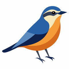 nuthatch bird vector icon with white background