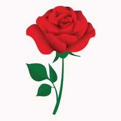 Hand-drawn Rose Clip Art Vector Design