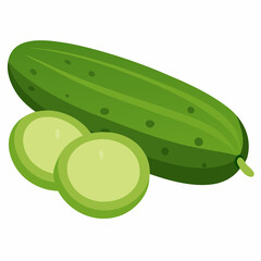 Vector illustration of Fresh green cucumbers lying on white background
