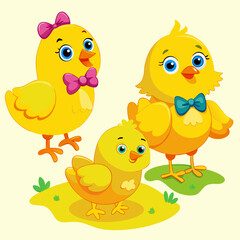 illustration cartoon chicks

