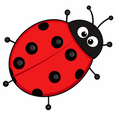 Cute lady bug, lady bird. Cartoon kawaii funny baby character. Happy Valentines Day. Black and red insect icon. Card Sticker print. Childish style. Flat design. White background. Isolated. Vector
