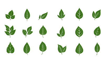 Collection of Various Green Leaf Icons on White Background