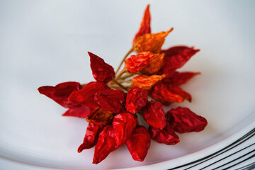 Dry red chili pepper, tied in a rope to ripen.