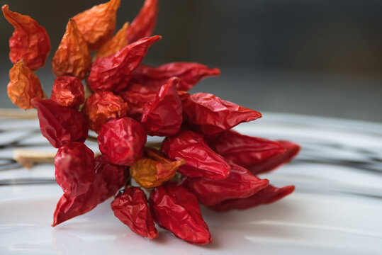Dry red chili pepper, tied in a rope to ripen.