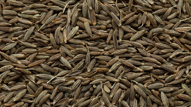 Whole cumin (Cuminum cyminum) seeds as background texture.