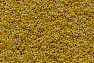 Raw millet groat as background texture.