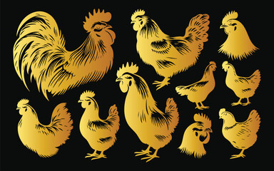 Golden Hen Illustrations for High-End Agricultural Marketing
