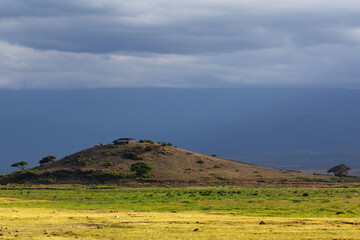 Landschaft im Tsavo/East Nationalpark bei Safari in Kenia Ostafrika