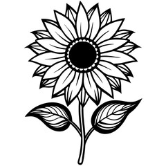 black and white sunflower