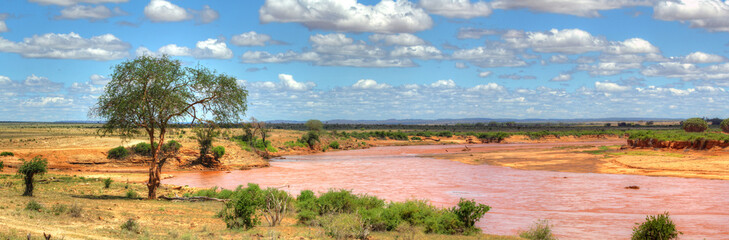 Fototapeta premium Landschaft im Tsavo/East Nationalpark bei Safari in Kenia Ostafrika