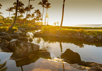 Morning Sunlight on Lagoon and Palm Trees at Resort Hotel on Shipwreck Beach, Poipu, Kauai, Hawaii, USA © Billy McDonald