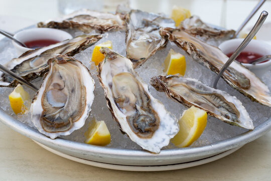 Fresh oysters on the halves of the shell are served in a plate with ice, lemons and sauce.