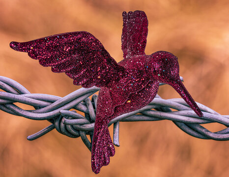 Christmas sparkly humming bird transposed with a barbed wire. War and peace metaphor.