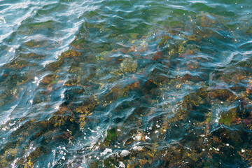 transparent waves through which stones are visible. Sea