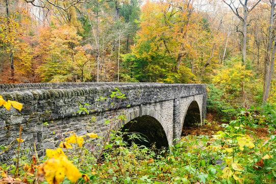 Wissahicken Valley Park during the Fall of 2023
