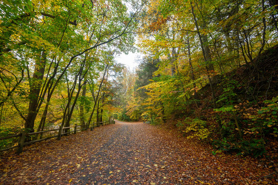 Wissahicken Valley Park during the Fall of 2023