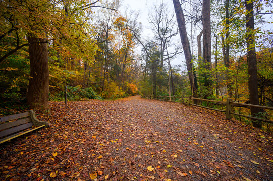 Wissahicken Valley Park during the Fall of 2023