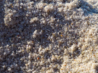 Close-up of Sparkling Sand Grains on a Sunny Beach Showing Natural Texture and Detail