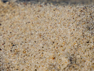 Close-up of Fine Beach Sand Grains with Natural Texture and Subtle Color Variations