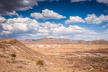 Chihuahuan Desert - Big Bend National Park